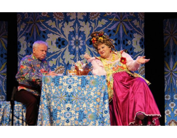 не в свои Сани не садись