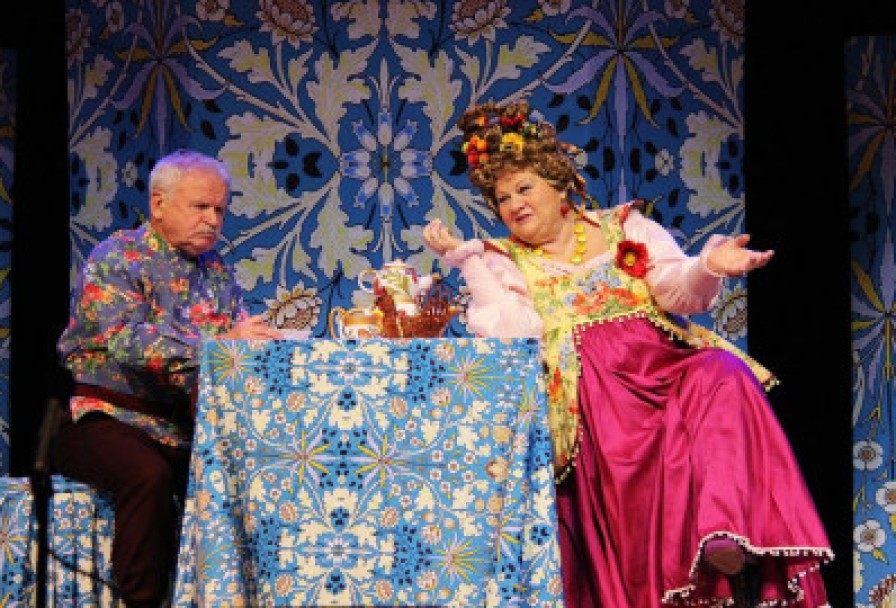 не в свои Сани не садись