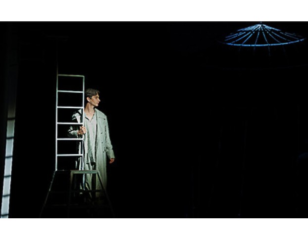 Любовь и Голуби