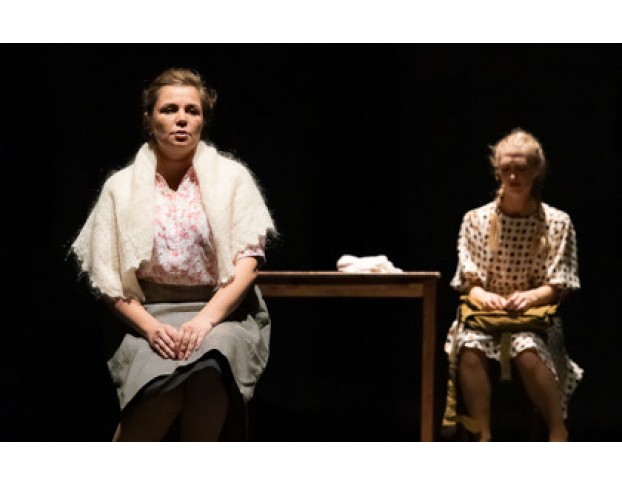 Бессмертники