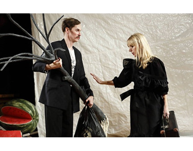 Собака с Дамочкой