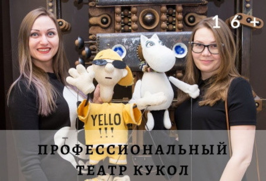 Профессиональный Театр Кукол