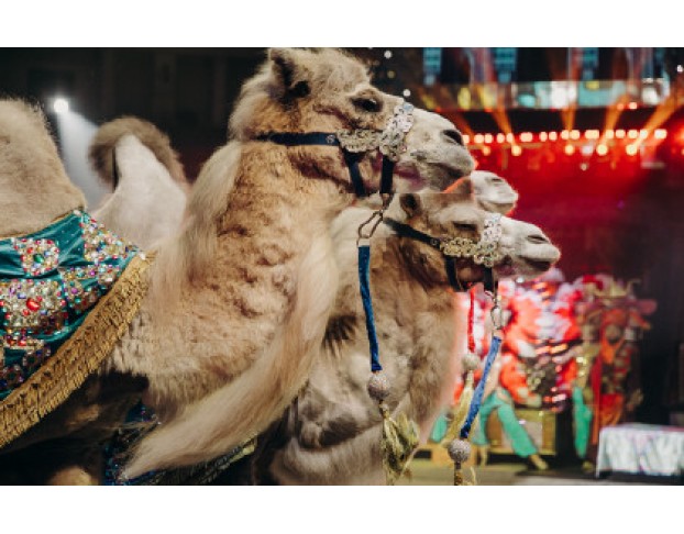 Песчаная Сказка