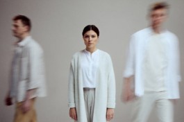 Летние Осы Кусают Нас Даже в Ноябре