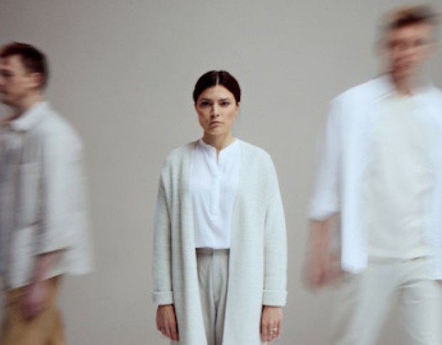 Летние Осы Кусают Нас Даже в Ноябре