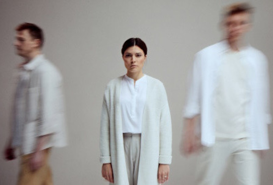 Летние Осы Кусают Нас Даже в Ноябре