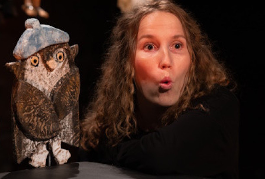 Кукловедение