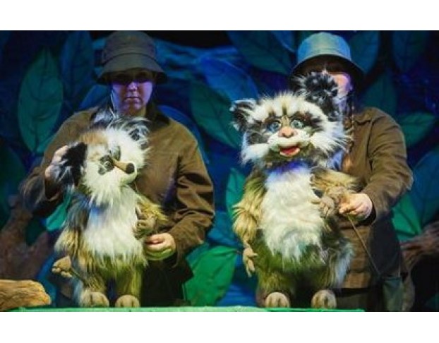 Крошка Енот