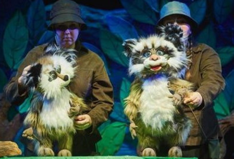 Крошка Енот