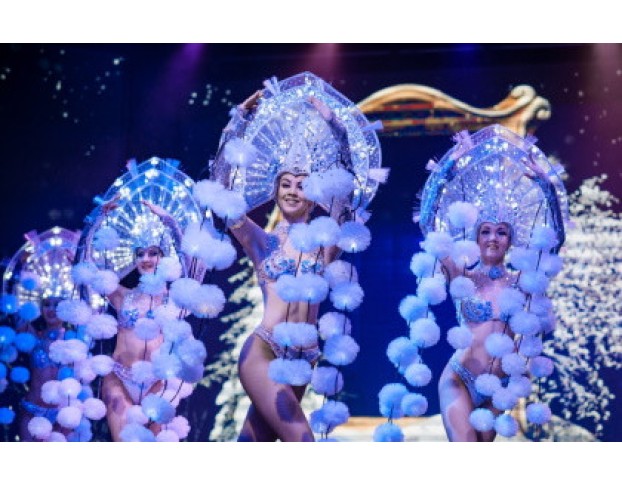 Новогодняя Феерия от Тройки