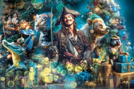 Новогодняя Тайна Пирата