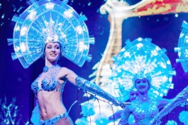 Новогодняя Феерия от Тройки