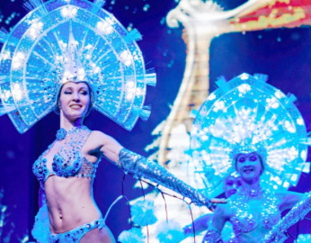 Новогодняя Феерия от Тройки