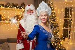 Ёлки-Метёлки