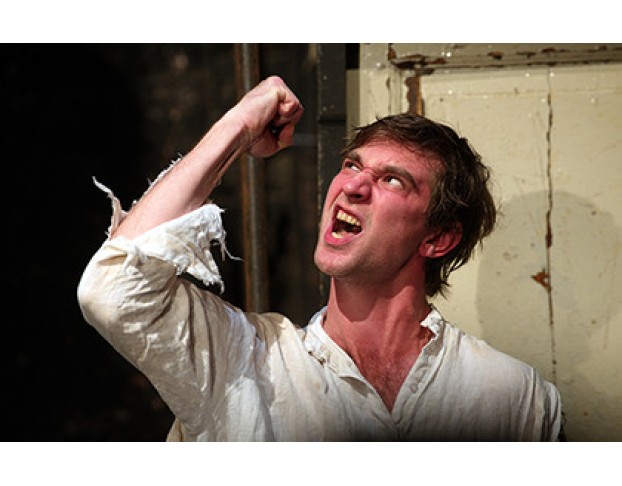 Четвероногая Ворона