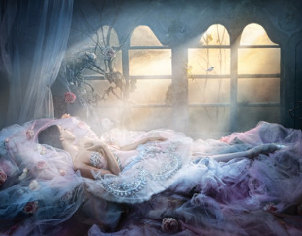 Спящая Красавица