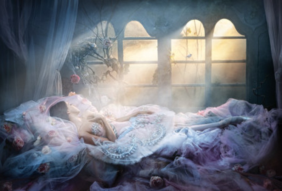 Спящая Красавица