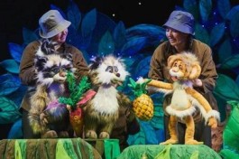 Крошка Енот