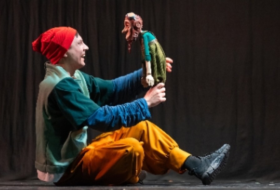 Путешествие Нильса с Дикими Гусями