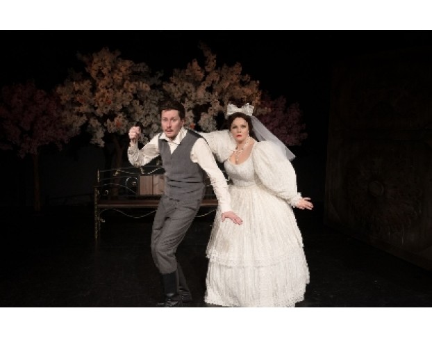 Женитьба Бальзаминова