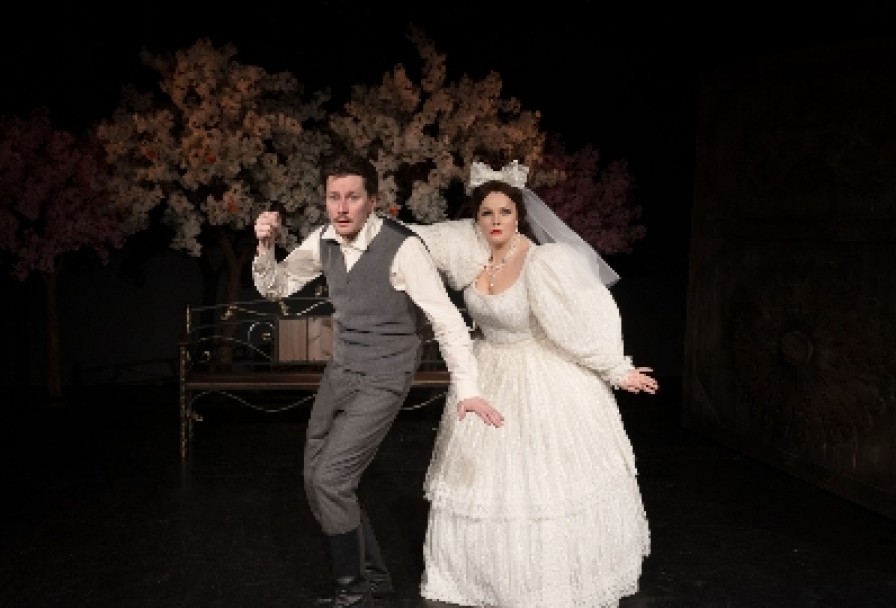 Женитьба Бальзаминова