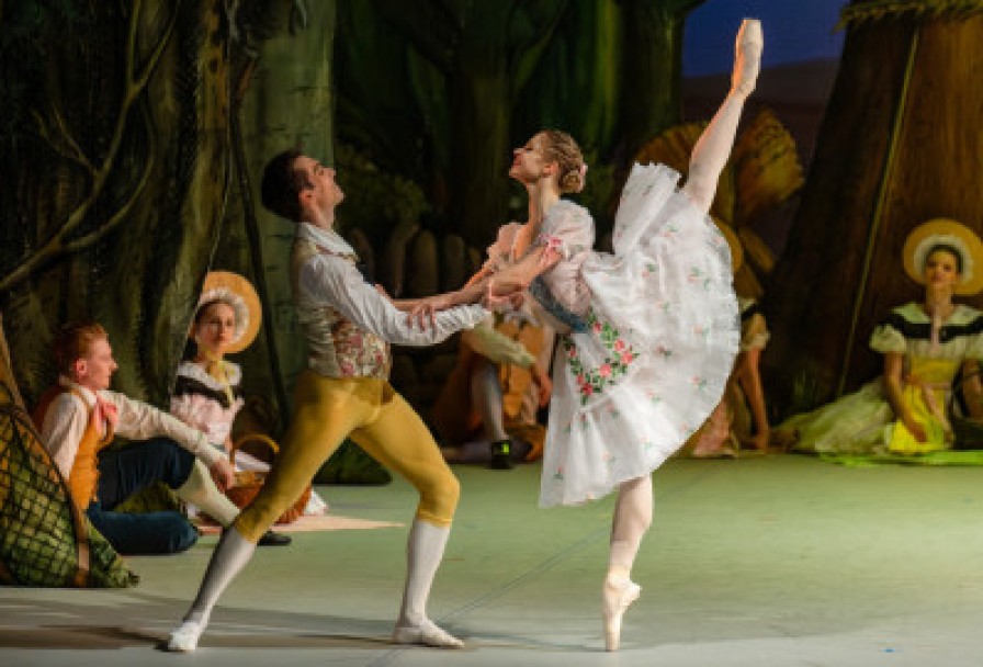 Тщетная Предосторожность