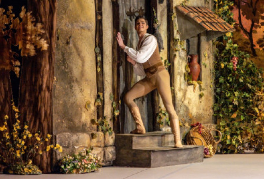 Жизель, или Вилисы