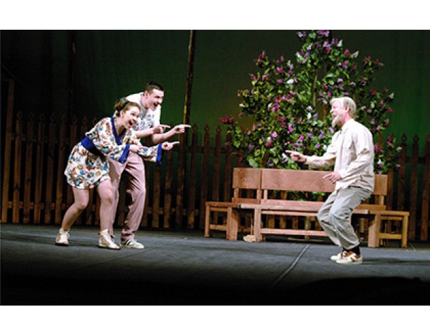 не Сыграть ли Свадьбу?