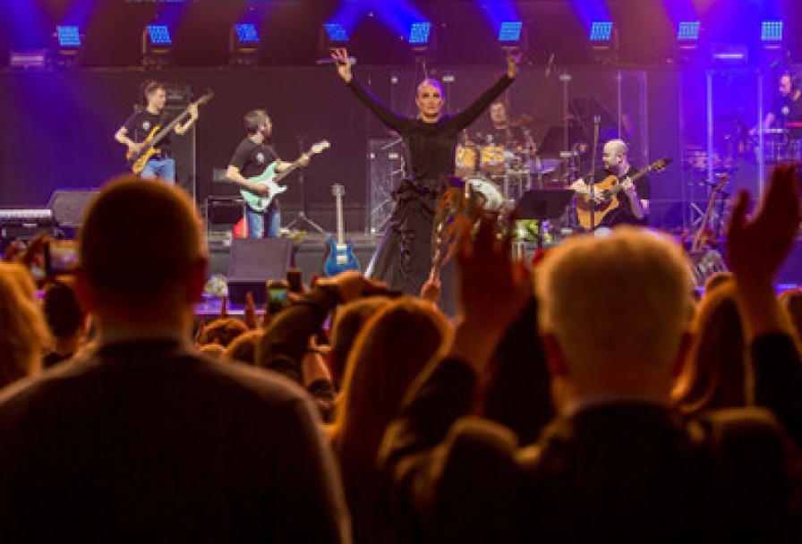 Елена Ваенга