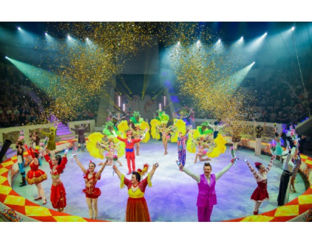 Елка в Цирке