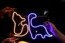 Бой с Тенью. Неоновый Свет Сцен