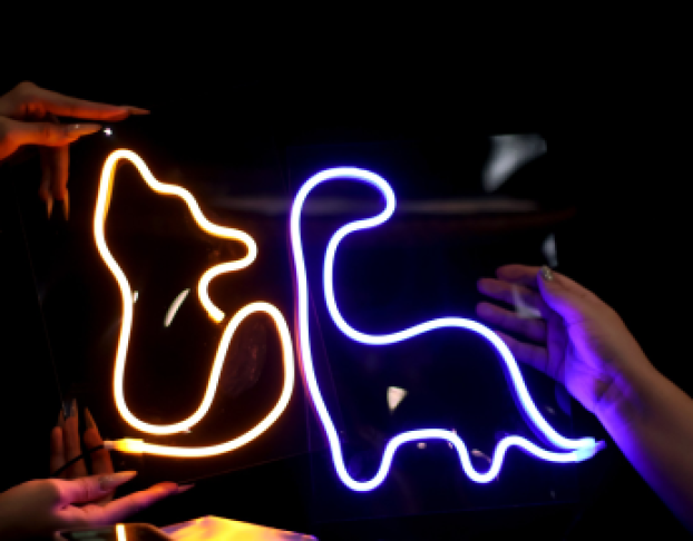 Бой с Тенью. Неоновый Свет Сцен