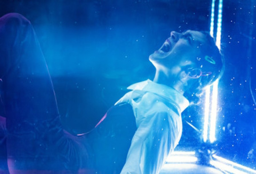 Парадокс Скворца