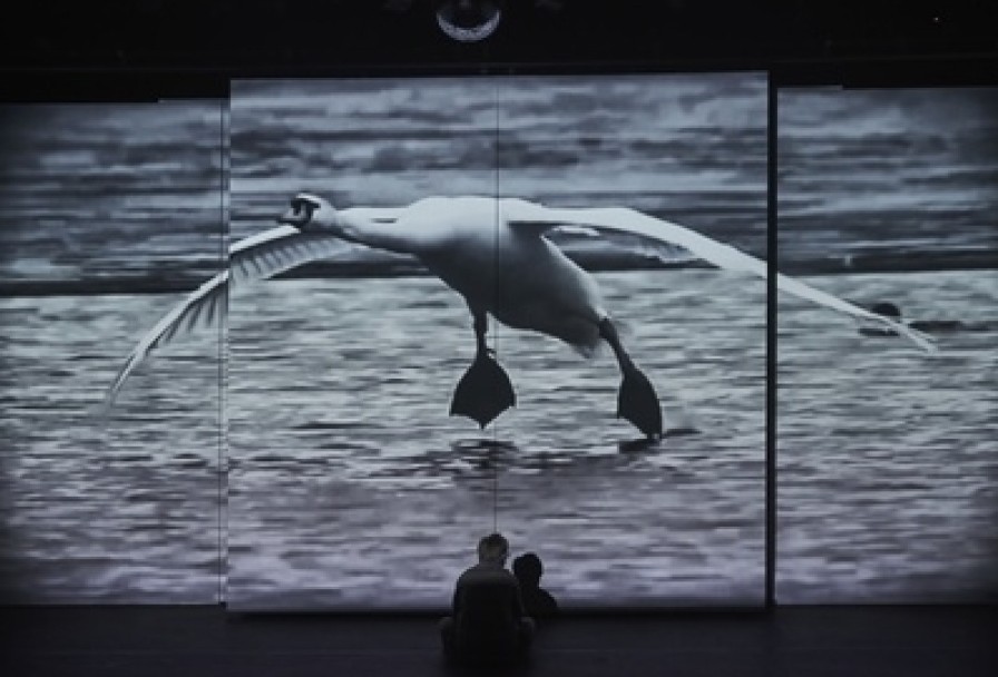 Гадкий Утёнок