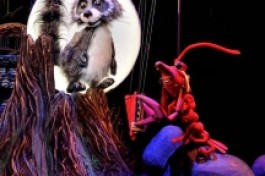 Крошка Енот