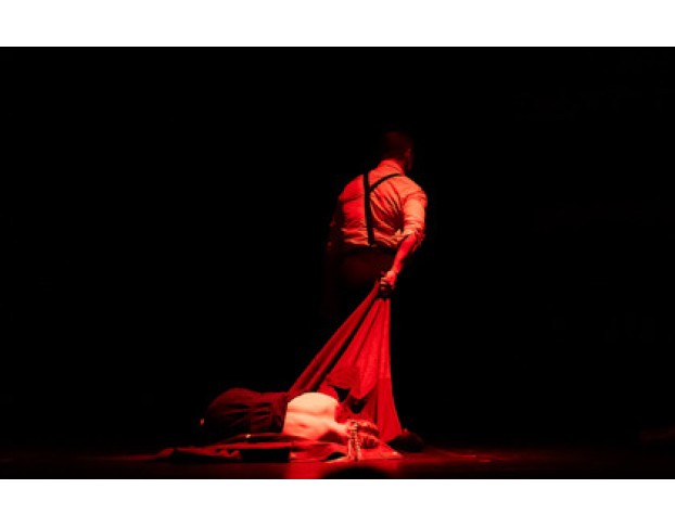 Бессмертники