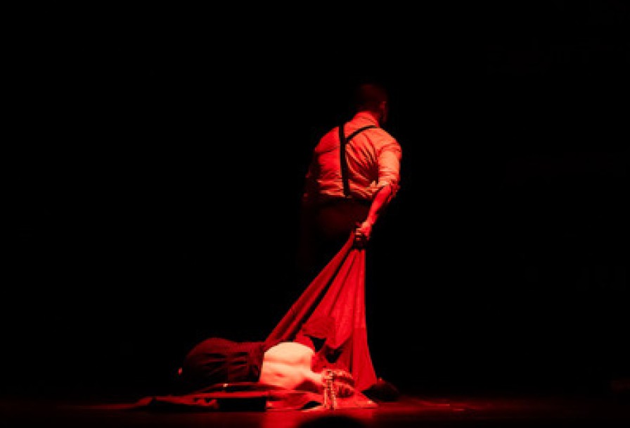 Бессмертники