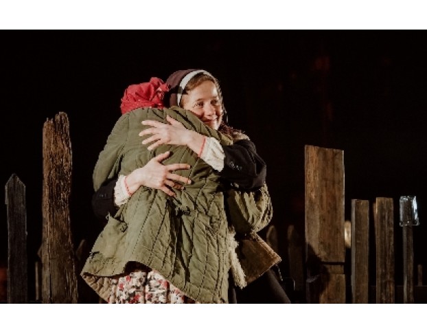 Деревянные Кони