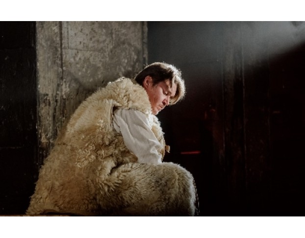 Деревянные Кони