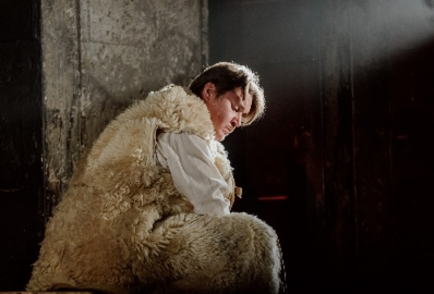 Деревянные Кони