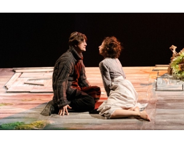 Вишневый Сад. а.п. Чехов