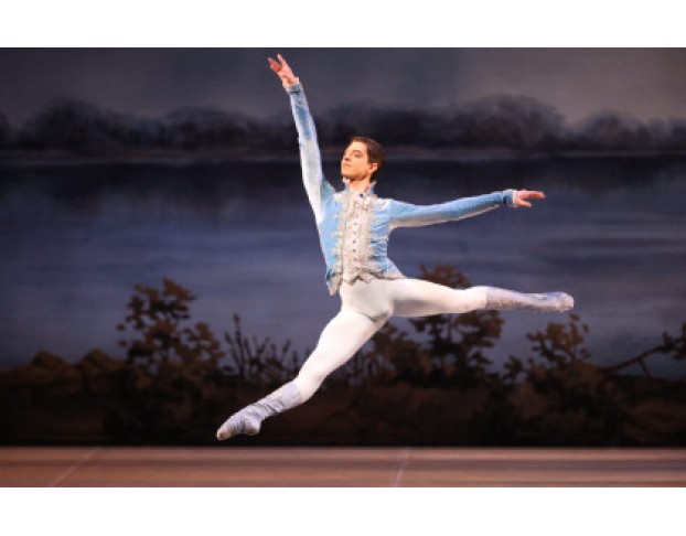 Спящая Красавица