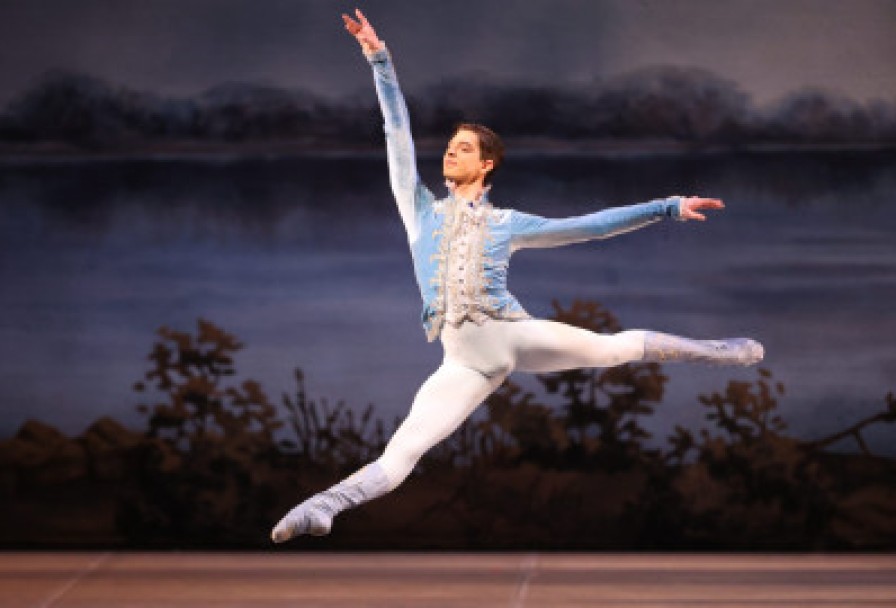 Спящая Красавица