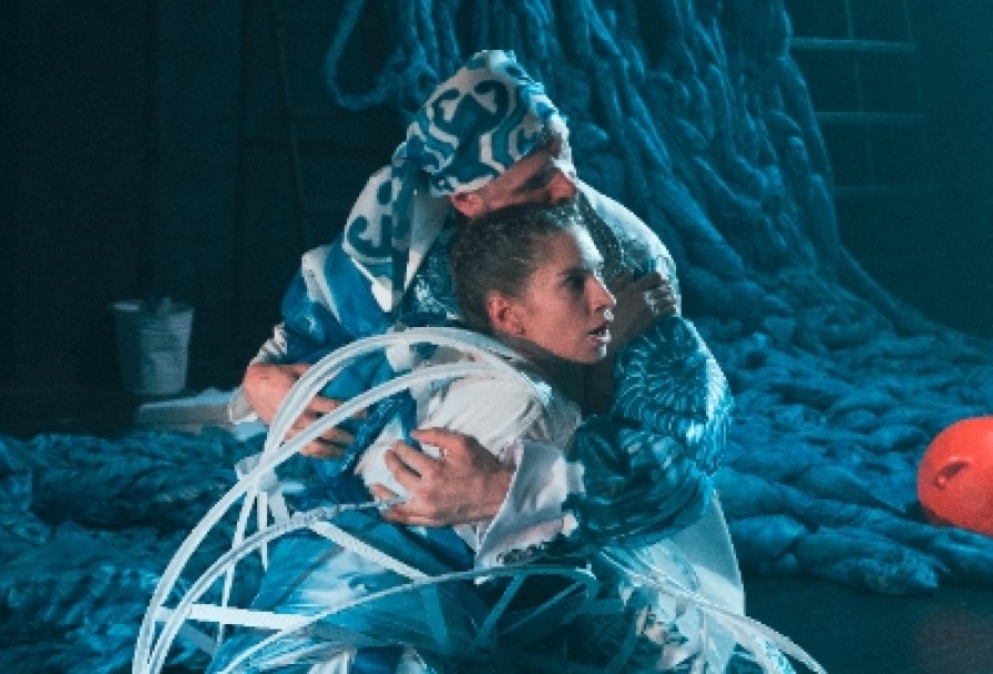 Двенадцатая Ночь, или что Угодно