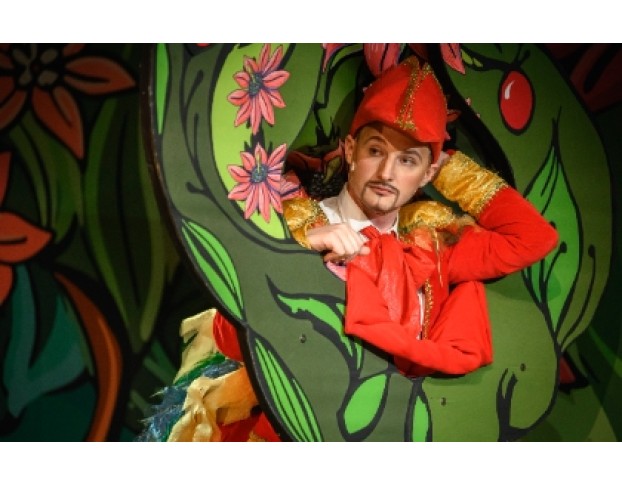 Сокровища Волшебного Леса