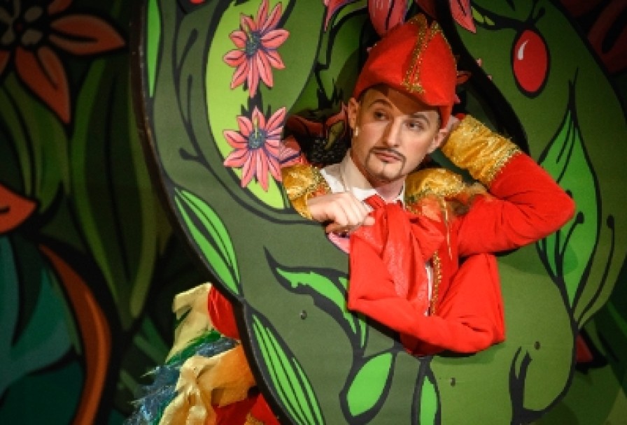 Сокровища Волшебного Леса