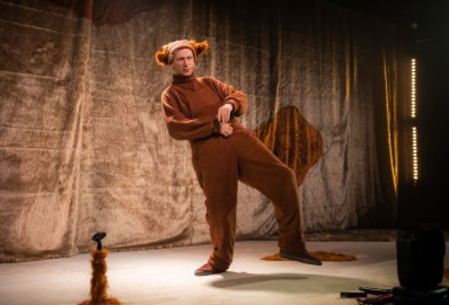 без Поводка