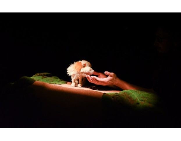 Умная Собачка Соня