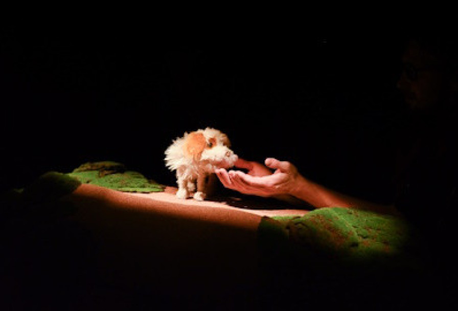 Умная Собачка Соня