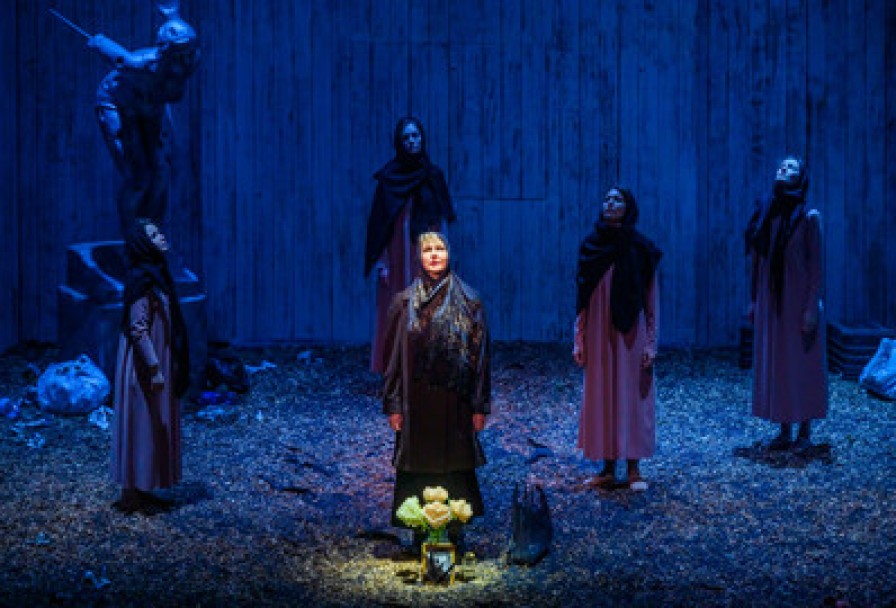 Земля Эльзы